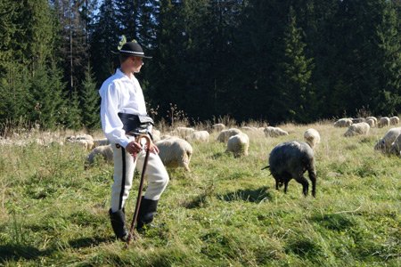 4 Niedziela Wielkanocy